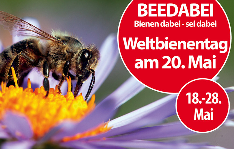 Beedabei – Unsere Bienenwoche